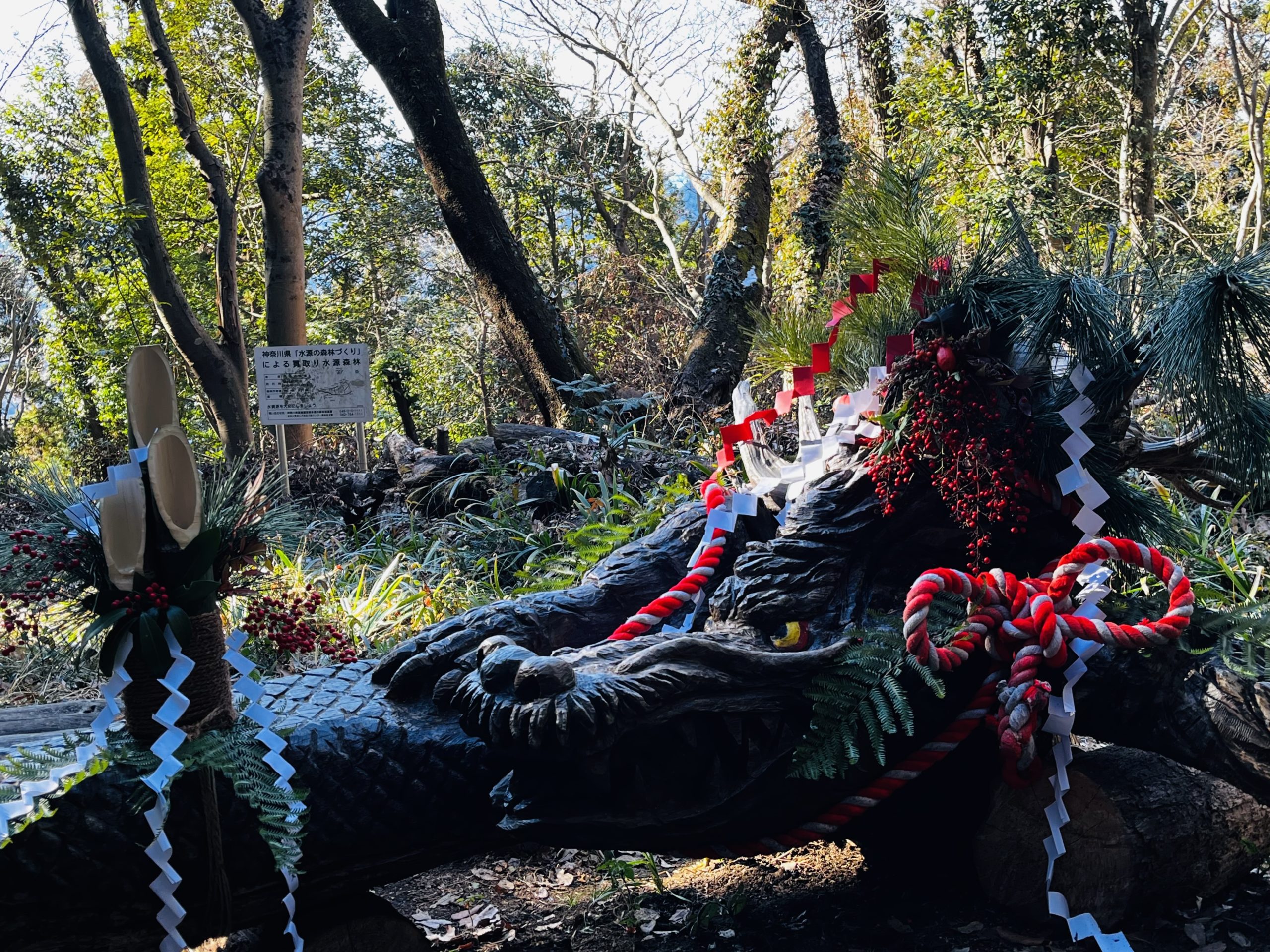 お正月南高尾山登山